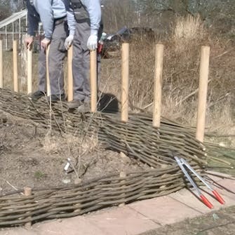 pileflet med pilekviste pileflet med pilekviste